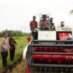 Wabup Akbar Serahkan Bantuan Alsintan dan Bantuan Benih Padi Screenshot_20240620_191339_Chrome