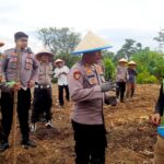 Dukung Program Ketahanan Pangan Nasional, Polres Luwu Timur Laksanakan Penanaman Bibit Jagung 20241111_153839