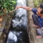 Screenshot_20250823_130313_WhatsApp