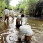 Aktivis Kecam PT Vale Dari Dugaan Pelanggaran SOP hingga Kejahatan Lingkungan, LHI Laporkan Ke Dirjen Gakkum KLHK IMG-20250912-WA0032