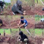 Penanaman Stek: “Kegiatan Budidaya Hijauan Pakan Ternak melalui Penanaman Rumput Gajah sebagai Upaya Peningkatan Ketersediaan Pakan Ternak di Desa Parumpanai IMG-20260128-WA0001