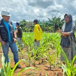 FB_IMG_1775311644050